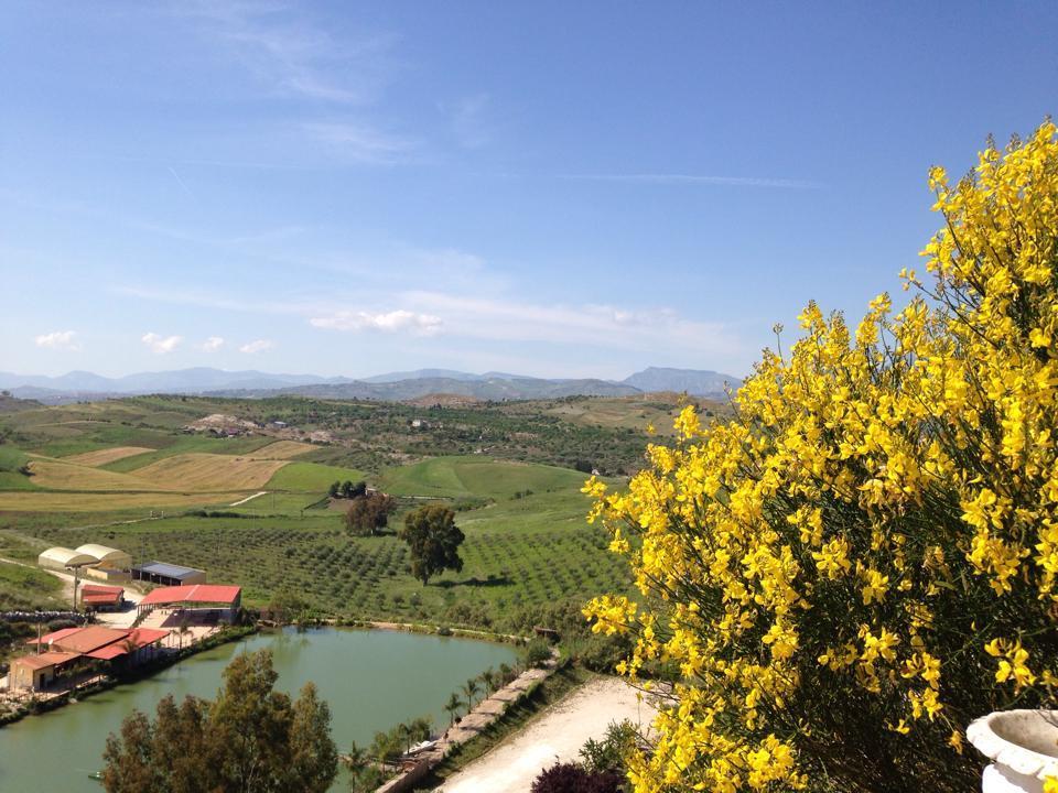 Ciuci'S Manor Villa Aragona Bagian luar foto